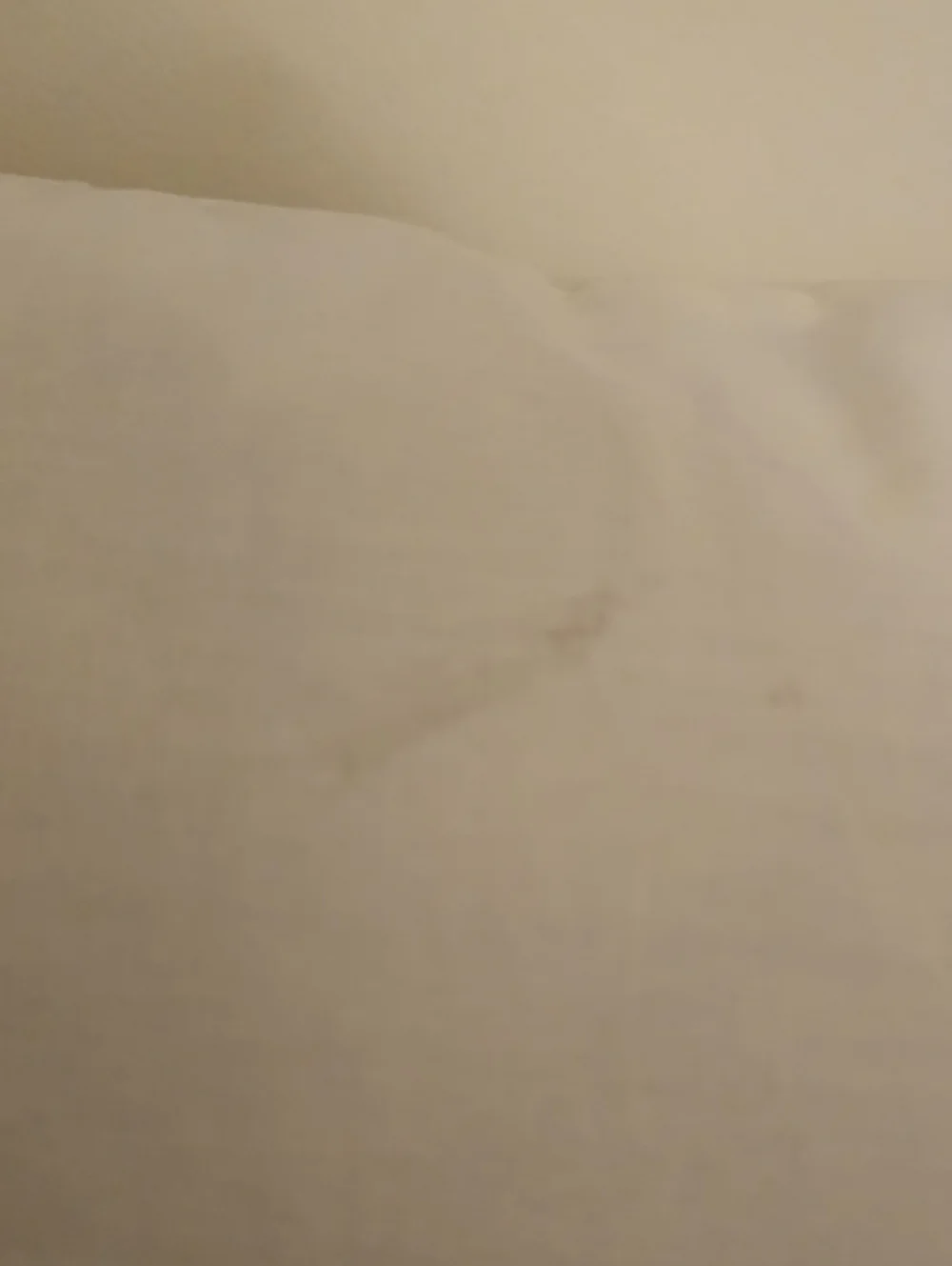 Deer Pillow
